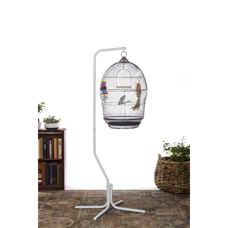 Archie & Oscar™ Tristan 62'' Steel Dome Top Hanging Bird Cage with